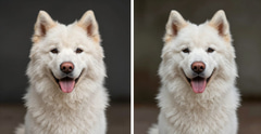 Side-by-side comparison of Remove.bg transparent output versus Imagera AI-generated scene replacement