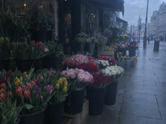 Flat, underexposed phone photo of a flower stall on an overcast street