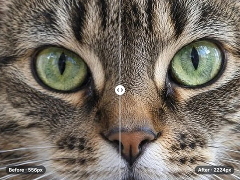 Close-up of a tabby cat: the blocky 556px original on the left, the sharp 4× upscaled 2224px result on the right