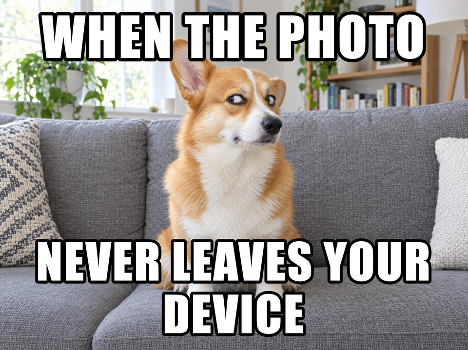 After: A corgi giving the camera a side-eye from a sofa — meme
