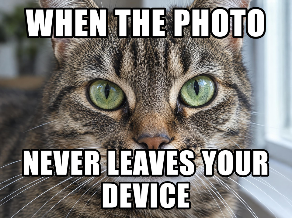 After: Close-up of a tabby cat's face with green eyes and fine whiskers — meme