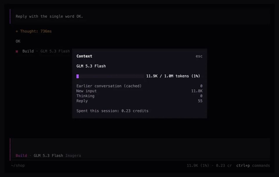 Terminal: the context dialog with tokens used and credits spent